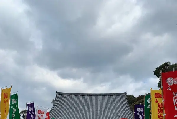 醍醐寺の写真・動画_image_517458