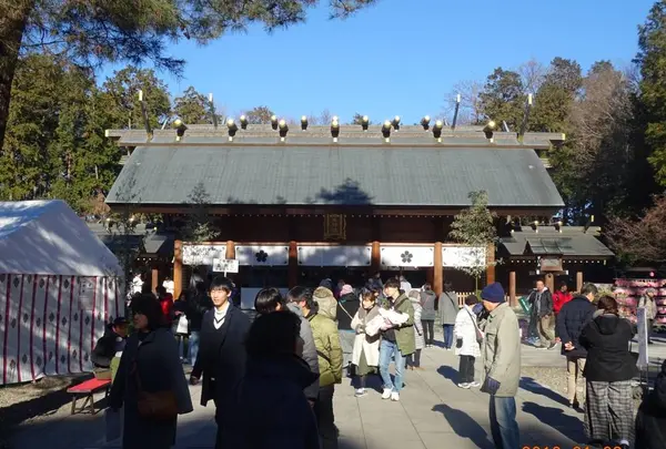 櫻木神社の写真・動画_image_517819