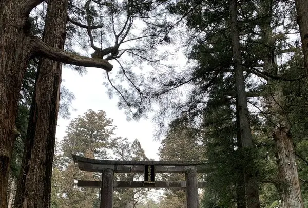 日光東照宮の写真・動画_image_518692