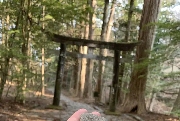 滝尾神社の写真・動画_image_518840