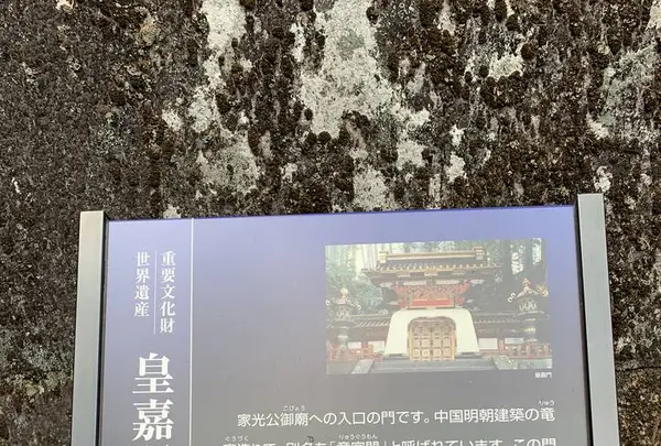 日光山輪王寺 大猷院仁王門の写真・動画_image_518887