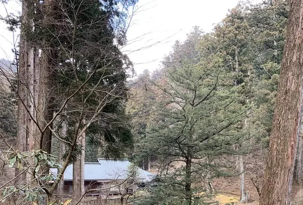 日光山輪王寺 大猷院仁王門の写真・動画_image_518891