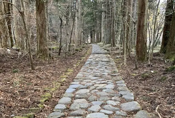 滝尾神社の写真・動画_image_518958