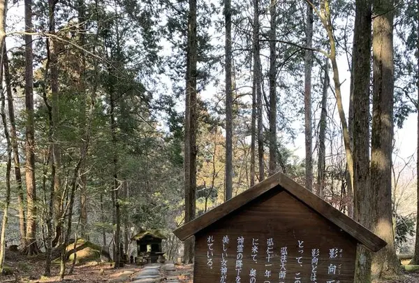 滝尾神社の写真・動画_image_518962