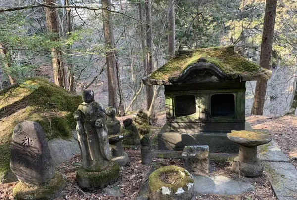 滝尾神社の写真・動画_image_518965