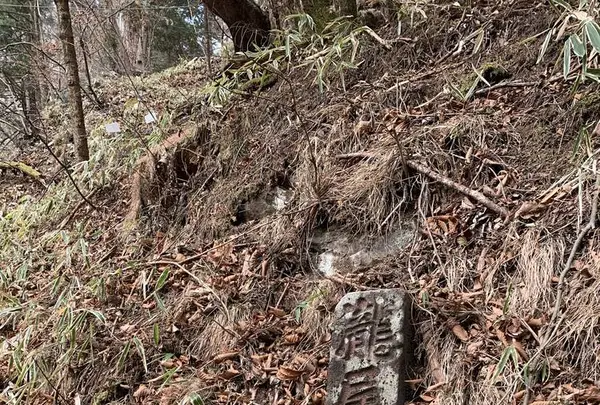 滝尾神社の写真・動画_image_518969