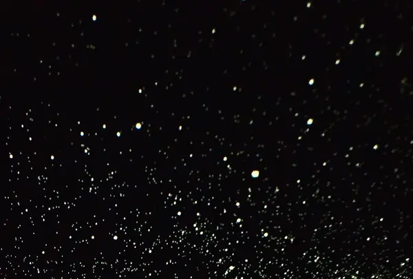 プラネタリウムcafe&bar ほしぞらの写真・動画_image_519153