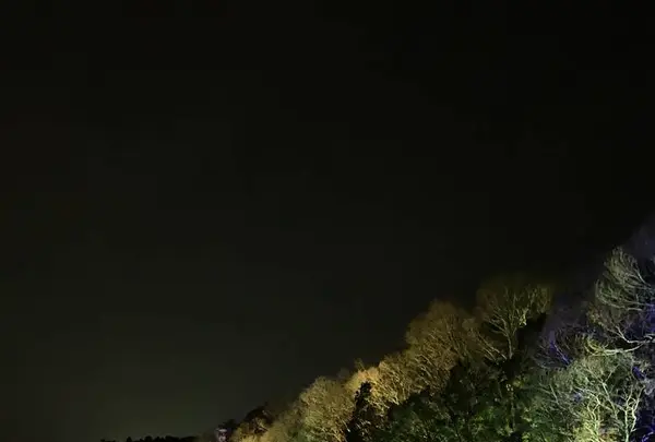 チームラボ  森と湖の光の祭の写真・動画_image_519322