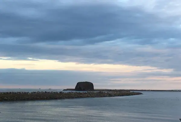 道の駅流氷街道網走の写真・動画_image_520411