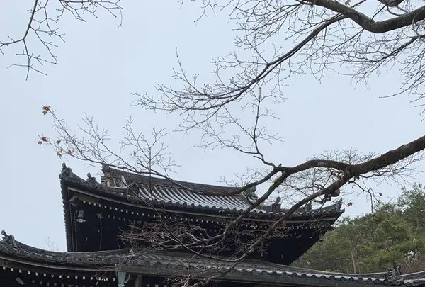 今熊野観音寺の写真・動画_image_521843