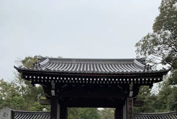 御寺 泉涌寺の写真・動画_image_521844