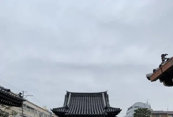 正運寺の写真・動画_image_521849