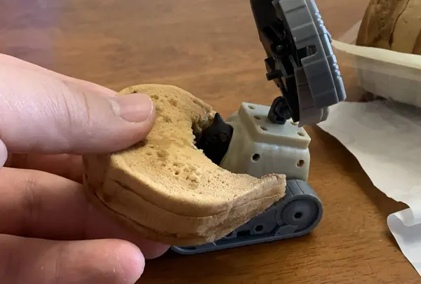 金時の甘太郎の写真・動画_image_522311