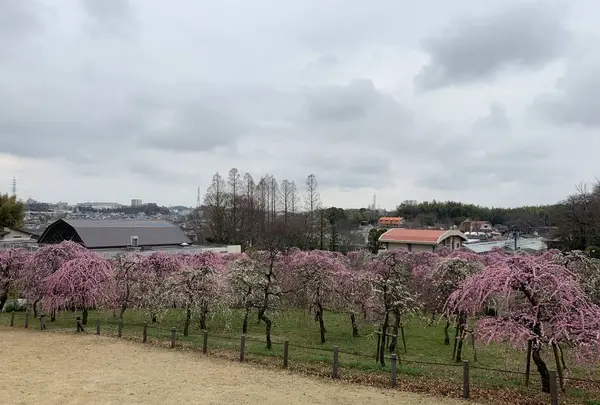 名古屋市農業センターの写真・動画_image_523010