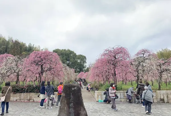 名古屋市農業センターの写真・動画_image_523012
