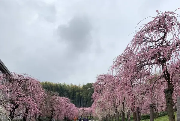 名古屋市農業センターの写真・動画_image_523013