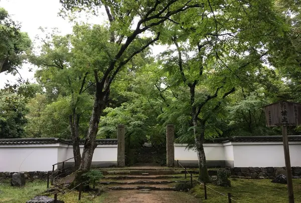 浄住寺の写真・動画_image_523074
