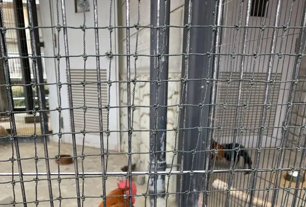 名古屋市農業センターの写真・動画_image_523252