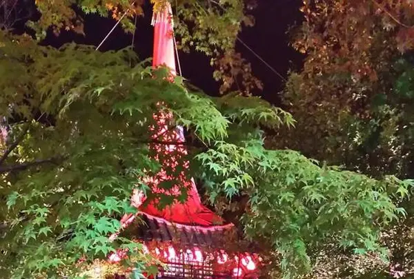 いろり山賊 錦店 一燈銭の写真・動画_image_523608