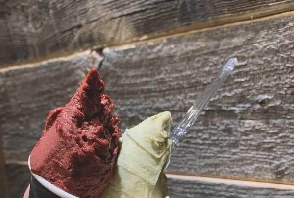 Premarché Gelateria プレマルシェ・ジェラテリアの写真・動画_image_524154