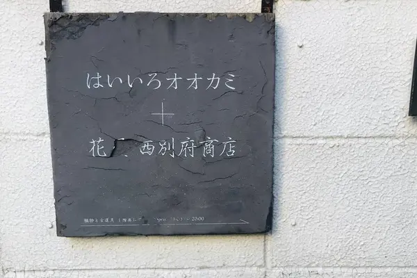 はいいろオオカミ+花屋 西別府商店の写真・動画_image_524211
