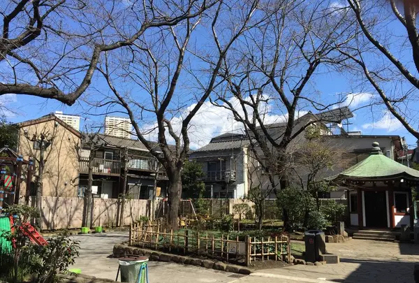 岡倉天心記念公園の写真・動画_image_525156