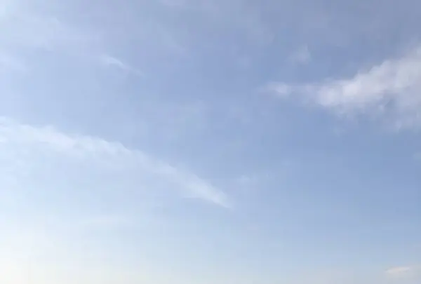 猿島の写真・動画_image_526801