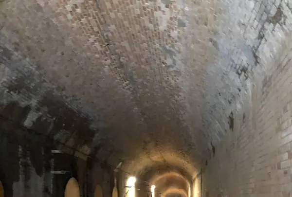 猿島の写真・動画_image_526802