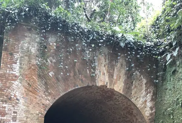 猿島の写真・動画_image_526803