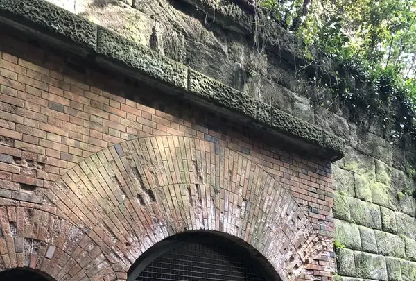 猿島の写真・動画_image_526804