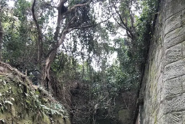 猿島の写真・動画_image_526805