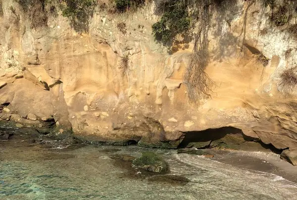 猿島の写真・動画_image_526807