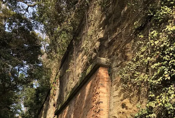 猿島の写真・動画_image_526808