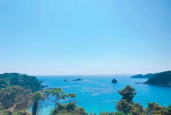 南伊豆町の写真・動画_image_527398