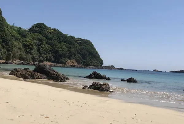 南伊豆町の写真・動画_image_527401