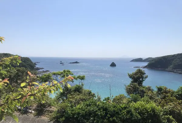 南伊豆町の写真・動画_image_527402