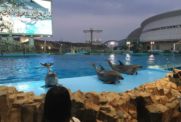 名古屋港水族館の写真・動画_image_527413