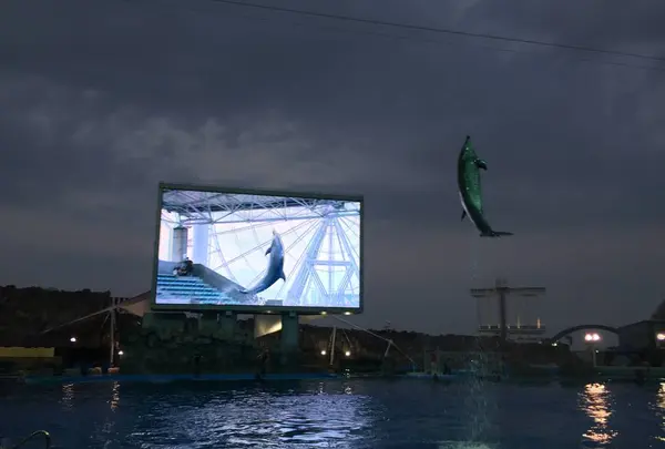 名古屋港水族館の写真・動画_image_527414