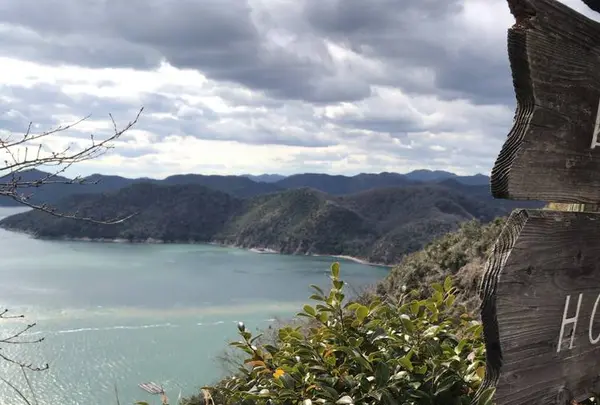 ホテル 万葉岬の写真・動画_image_527641