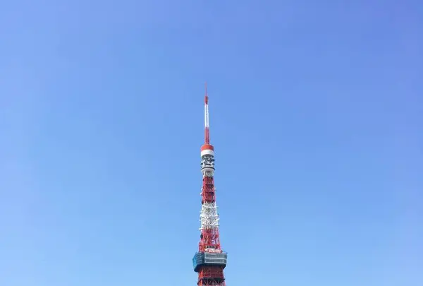 芝公園の写真・動画_image_528726