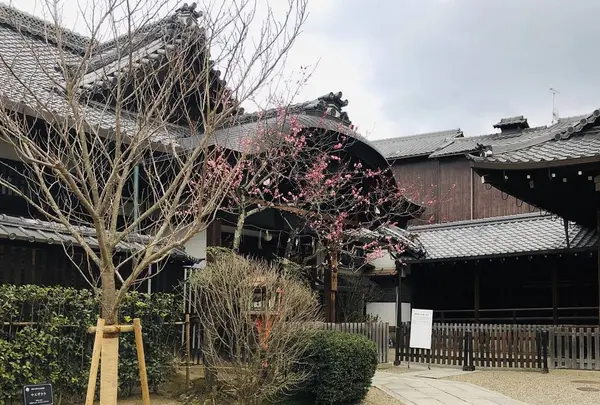 八坂神社の写真・動画_image_529512