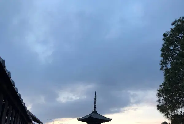 法観寺 八坂の塔の写真・動画_image_529520