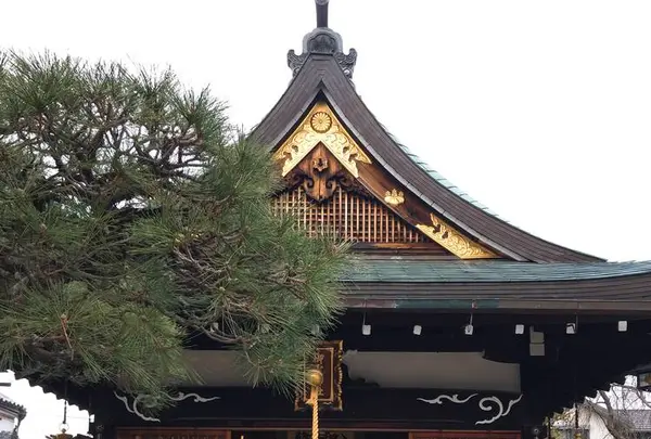 御霊神社の写真・動画_image_529948