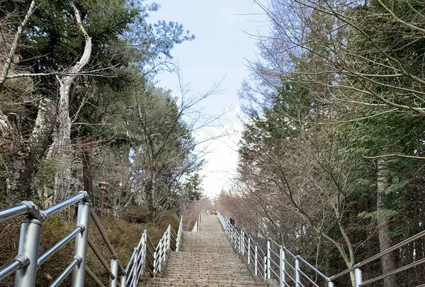 新倉富士浅間神社の写真・動画_image_530120