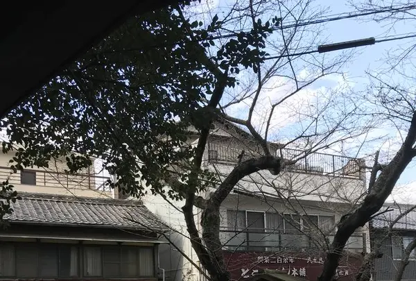 天皇寺の写真・動画_image_530538