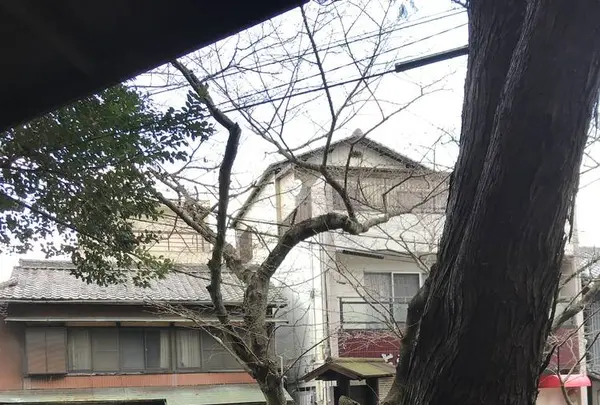 天皇寺の写真・動画_image_530539