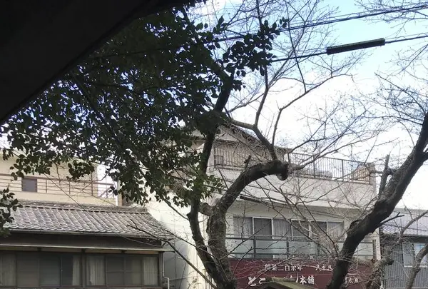 天皇寺の写真・動画_image_530541