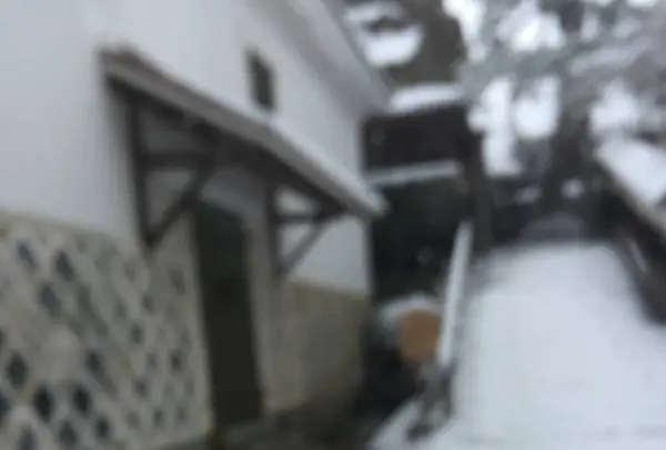 杉原料理店の写真・動画_image_530552