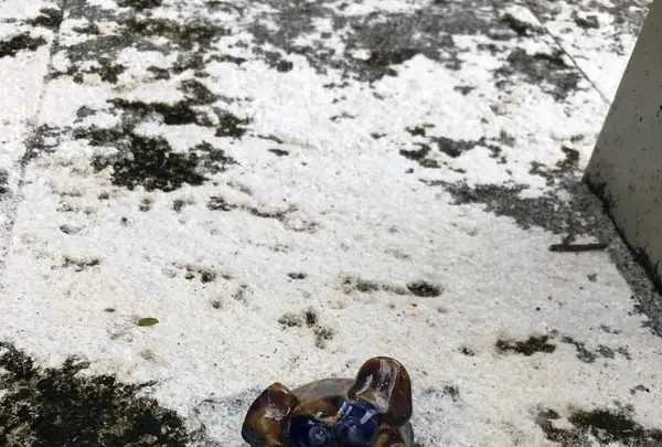 壺屋やちむん通りの写真・動画_image_530719