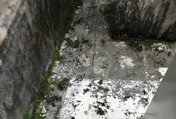 壺屋やちむん通りの写真・動画_image_530725